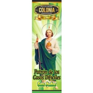 Colonia San Judas - colonias religiosas causas difíciles mayoreo Houston Texas